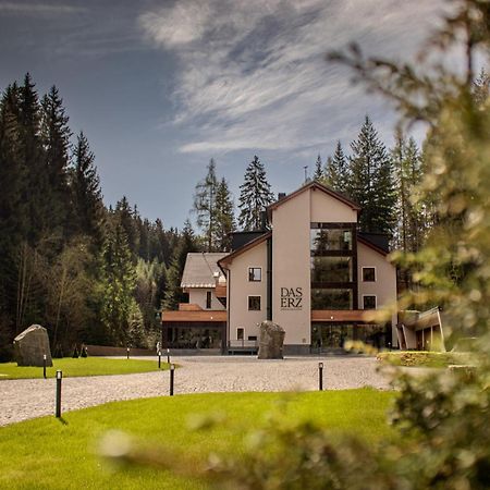 Das Erz Medical Spa & Hotel Rottendorf Kültér fotó