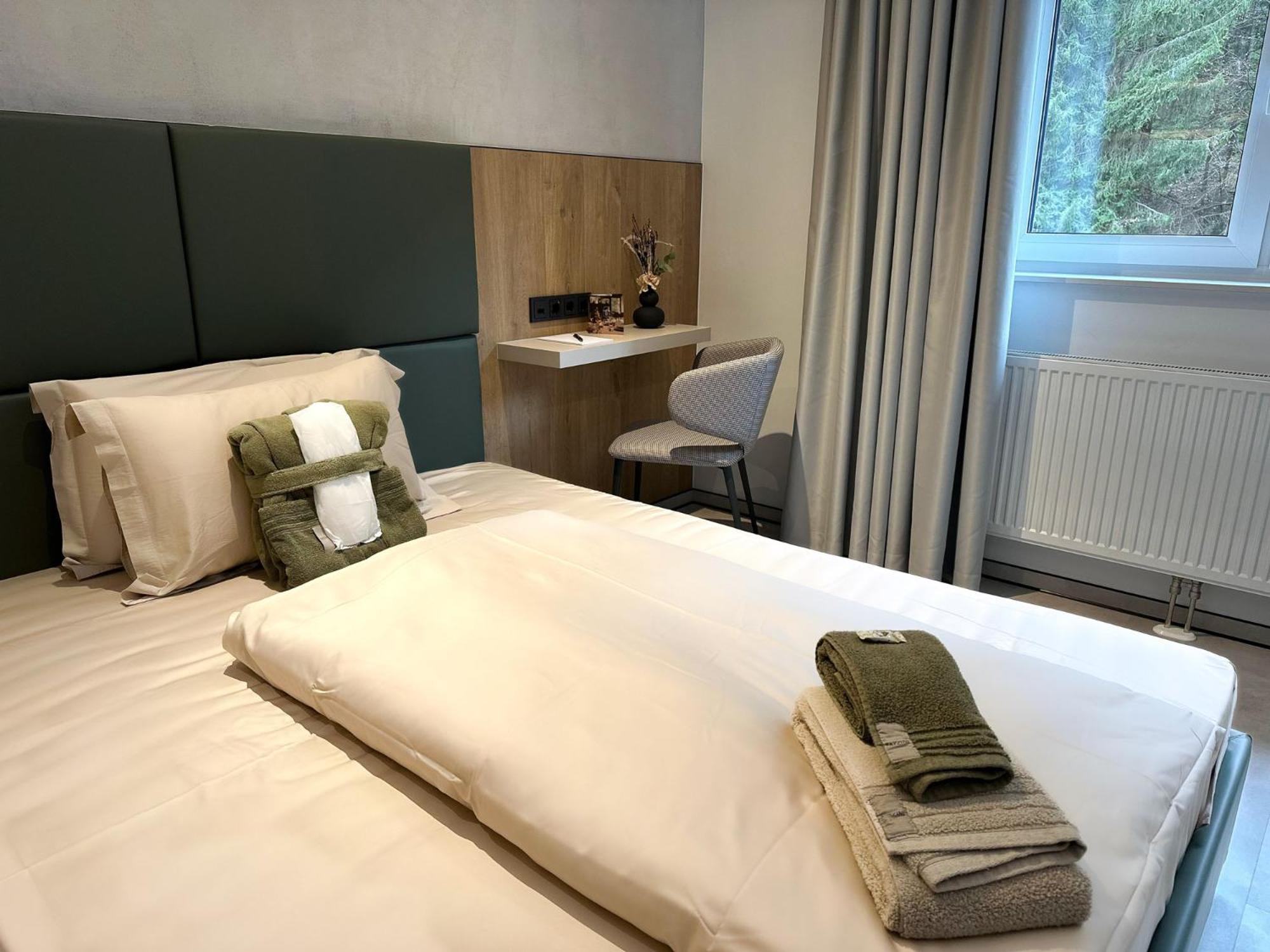 Das Erz Medical Spa & Hotel Rottendorf Kültér fotó